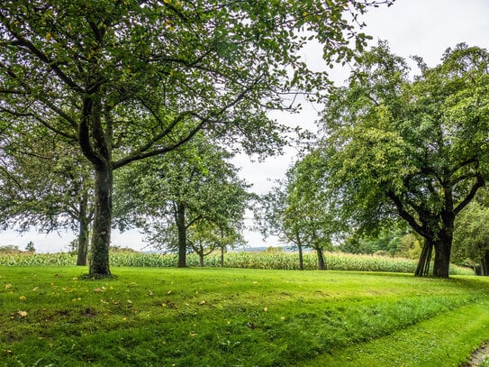 Baureif, erschlossen und vermessen! Baugrundstück für Ihre Doppelhaushälfte in Vogelsdorf