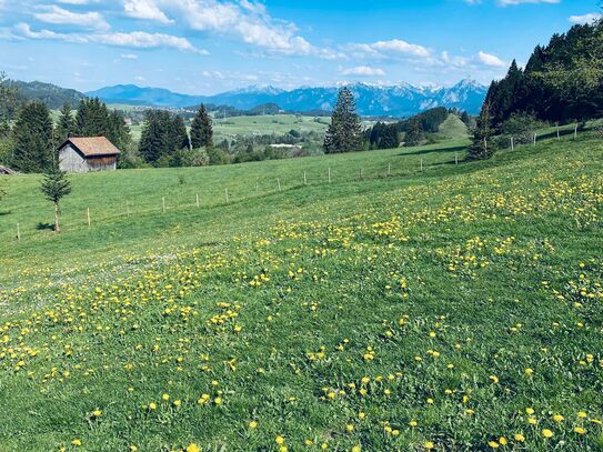 Wunderschöne sonnige Baugrundstücke in Erbbaurecht zu vergeben.