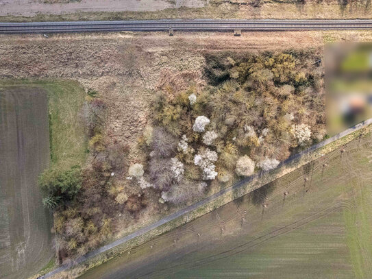 "Naturnahes Grundstück am Bahnhof: Raum für Ihre Träume"