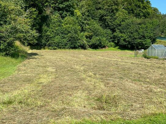 Für Bauträger interessant - Wunderschönes großes Baugrunddstück in toller Lage in Wellheim