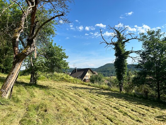 Idyllisches Grundstück SCHWARZWALDTRAUM in Hanglage am Ortstrand von Hofen, Steinen mit Weitblick