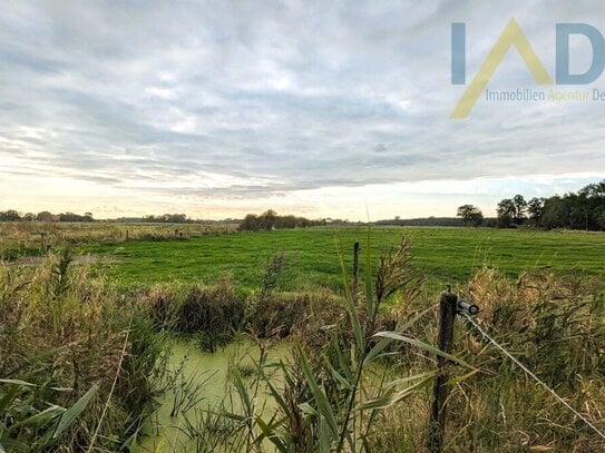 7,5 ha Grünland in der Wesermarsch gegen Gebot an Investor zu verkaufen