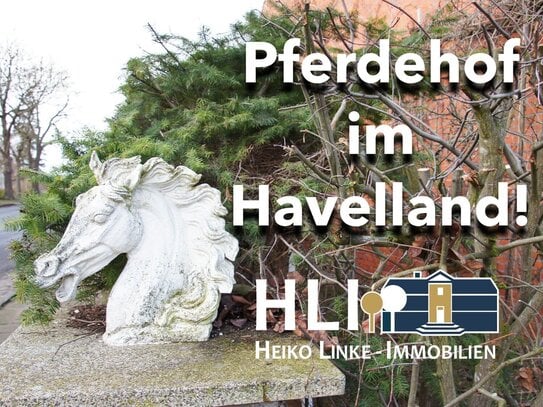 Obj.Havelländer Pferdehof im Dornröschenschlaf!