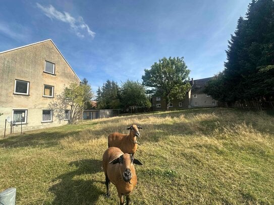 BGS 1749 - attraktives Mehrfamilienhaus in idyllischer Lage von Bad Lausick OT Ballendorf