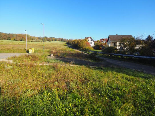 GÜNSTIGES GEWERBEGRUNDSTÜCK IN RIESCHWEILER