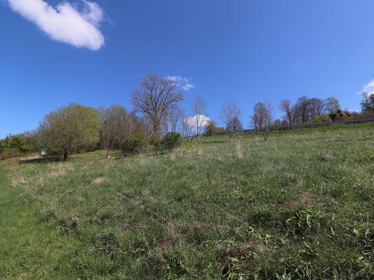 Wohnbaugrundstück in Schauenstein mit 993m²