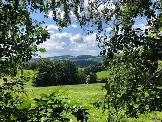 5.892 m² unverbauter Blick in Greiz - Obergrochlitz