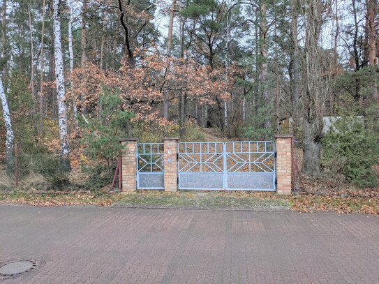 Positiver Vorbescheid: Idyllisches Baugrundstück nahe des Muldestausees