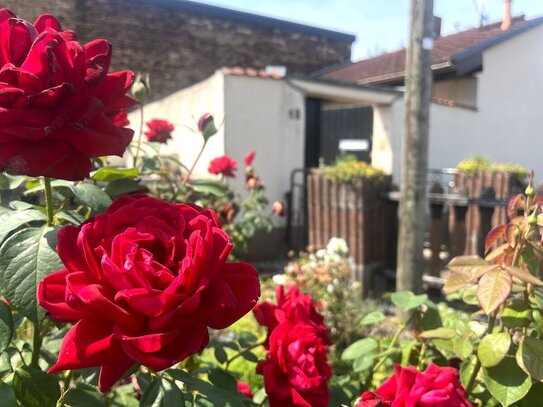 Kleines Wohnglück mit großem Garten - Entdecken Sie Ihr neues Zuhause!