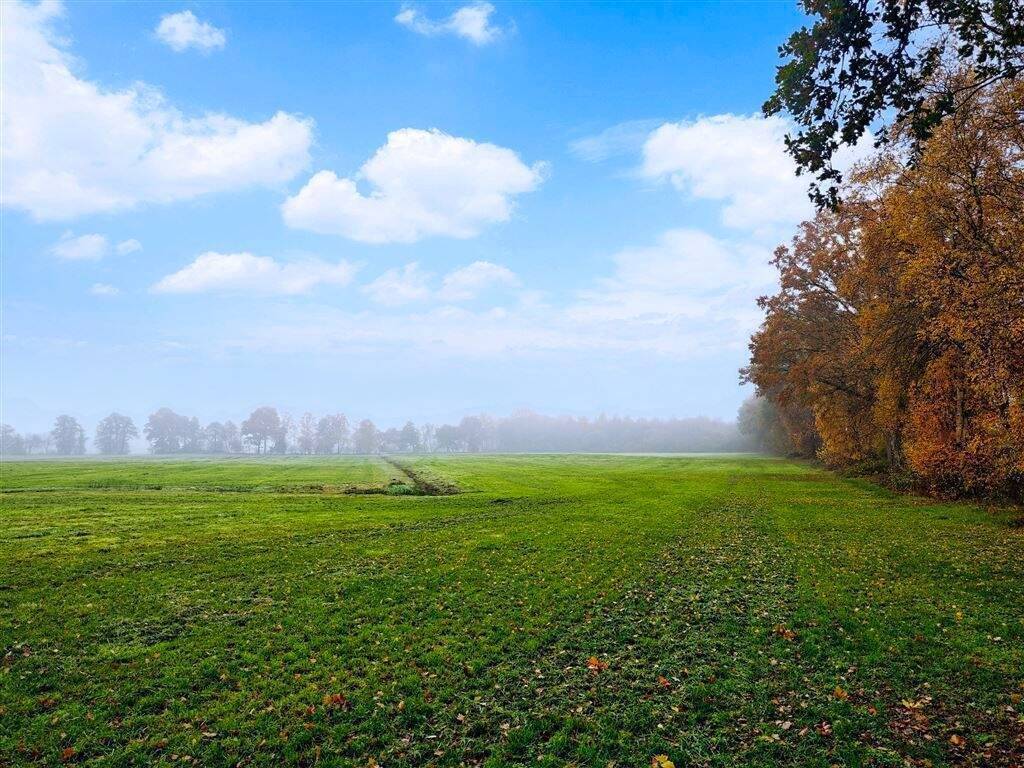 Real Estate Title Image Background