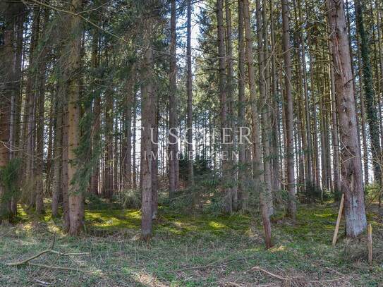 Waldfläche mit ca. 70-80-jährigen Bestand - Fichte-Eiche-Buche