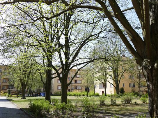 3-Raum-Wohnung in Spandau Hakenfelde