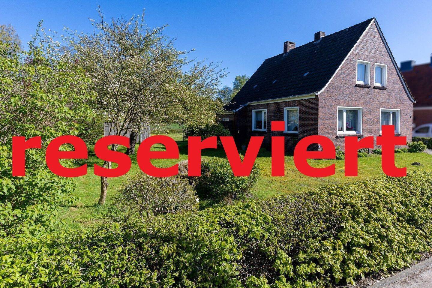Real Estate Title Image Background