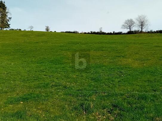 BAUEN AUF ERWEITERBARER FLÄCHE