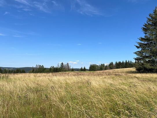 Naturnah und ruhig: Perfektes Grundstück für Ihr Traumhaus in Sonneberg-Neuenbau