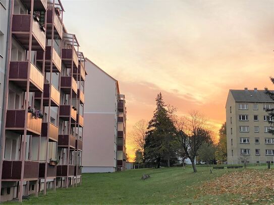 **ERSTBEZUG** sanierte, sonnige 2 Zi Wohnung mit Dusche