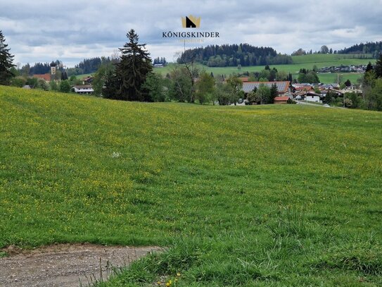 Sofort verfügbares Bauerwartungsland mit Grünland in Oberreute