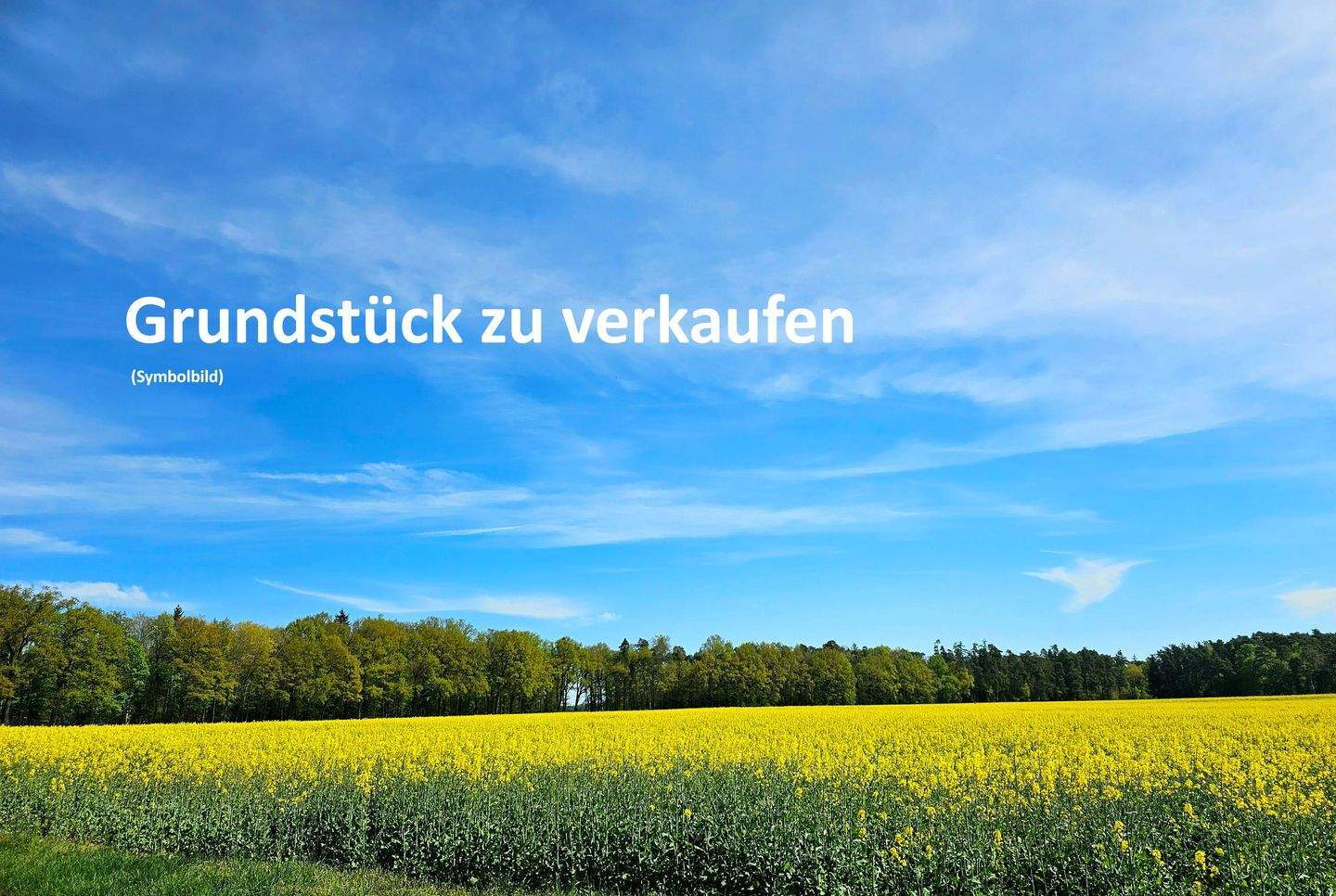 Real Estate Title Image Background