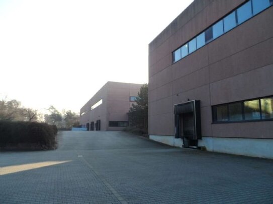 Ca. 5000 m² Halle - teilbar ab 1.250 m² - Rampe + ebenerdig - zu vermieten +++www.immolox.de+++