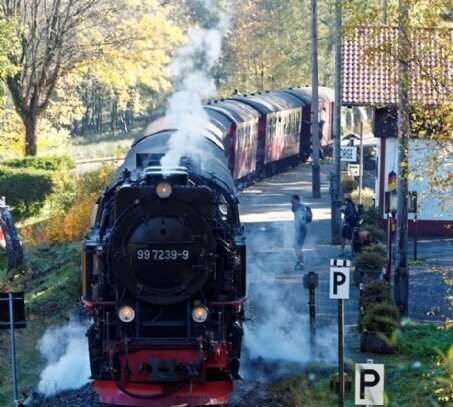 Schöne Pension mit Gaststätte oder Cafe Im Oberharz in der nähe von Braunlage !!!!