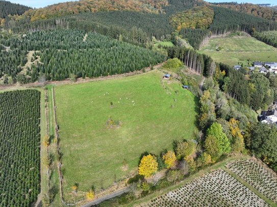 Damwildgatter mit Grünland und Wald im Hochsauerland