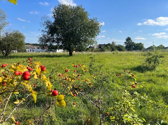 Baugrundstück in Heroldsberg