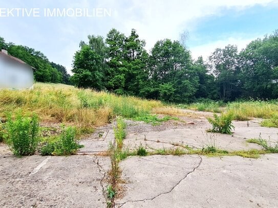 INVESTOREN aufgepasst - großes, ebenes Baugrundstück in Michelstadt Steinbach