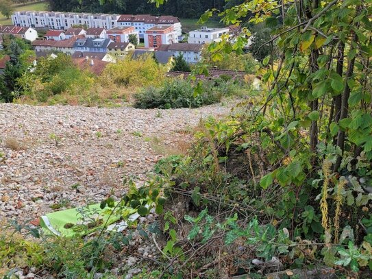 Großes Baugrundstück in toller Hanlage in Lörrach am Hünerberg