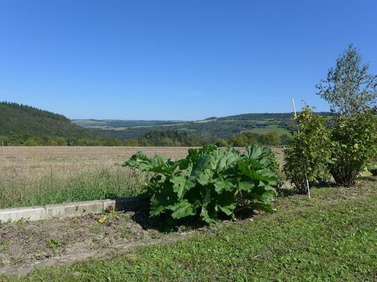 Neuwertiges, freistehendes Haus, separate Whg., fantastischer Weitblick, alles was das Herz begehrt.