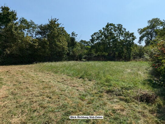 Schönes großes Grundstück in ruhiger Lage von Worms-Hochheim