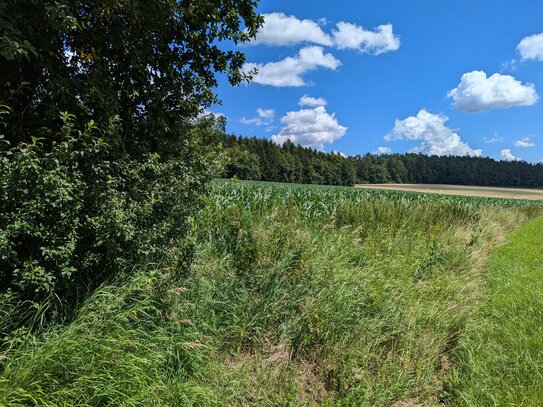 Baugrund in der Fränkischen Schweiz. In 5 Minuten zur A9