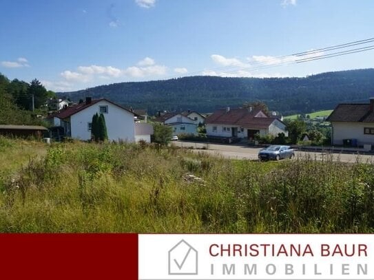 AM SONNENHANG: Bauplatz für Ihr Traumhaus, Wehingen