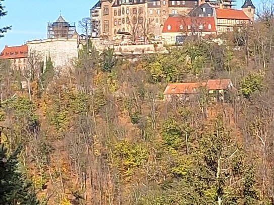 Beste Lage! Außergewöhnliches u. schönes 12-Familienhaus mit Blick zum Schloss, plus separater Bungalow, plus 4 Garagen…