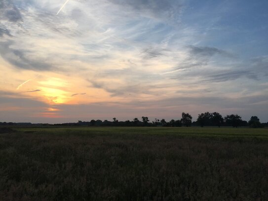 Blick vom Grundstück ins Feld, Nordwalde