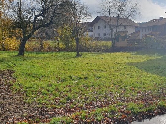 Baugrundstück mit ca. 427 m² für eine Doppelhaushälfte in Hintsberg-Steinhöring zu verkaufen!