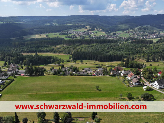 Panoramalage Hochschwarzwald - 1,8 Hektar Bauland, besser gehts nicht - Sofortverkauf !