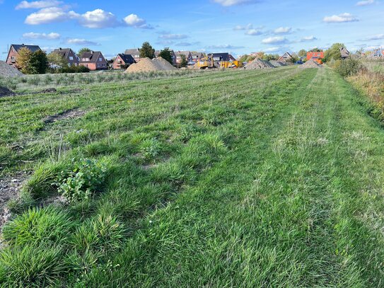 Baugrundstücke in Hollern-Twielenfleth frei...!