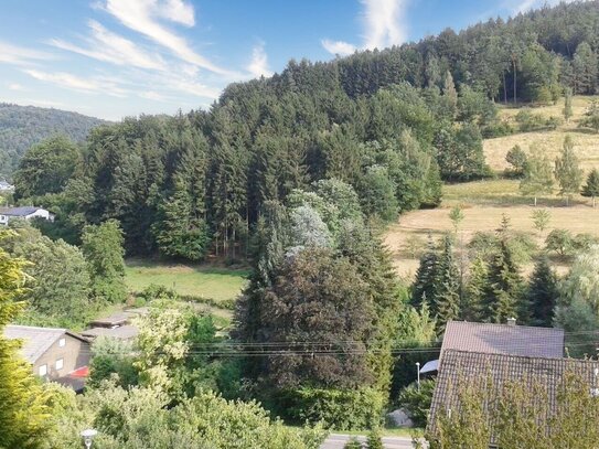 2 energieeffiziente Wohnungen | Garten & Terrasse mit Panoramablick | Verschiedene Nutzungsmgl & Natur pur