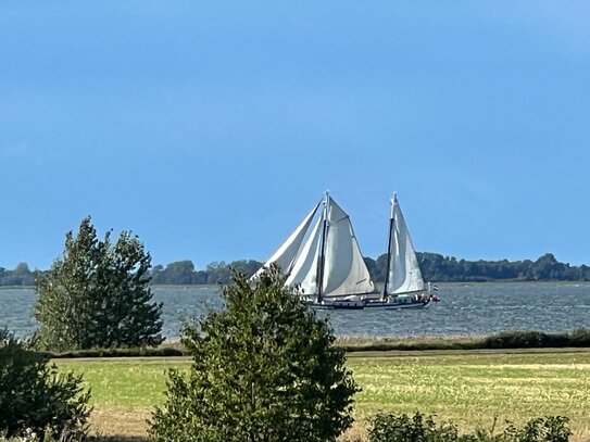 Rarität - Exklusive Villa mit Pferdehaltung und Blick auf den Bodden