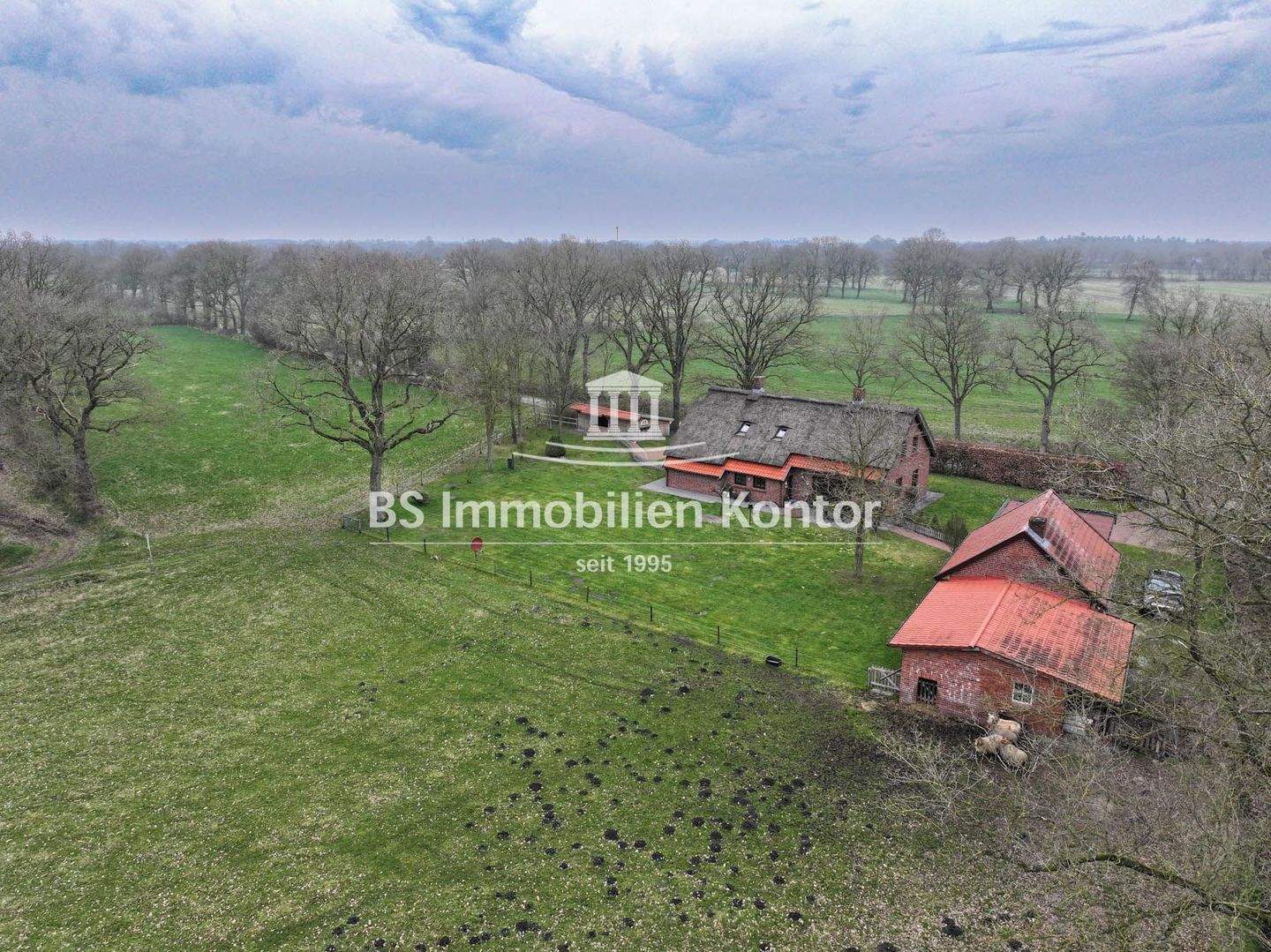 Real Estate Title Image Background