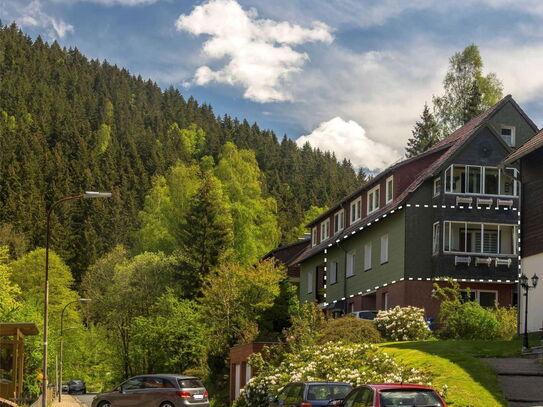 Ruhig gelegen: Wohnen am Berg in Lautenthal, 4-Zi-Wohnung mit Balkon und Garage