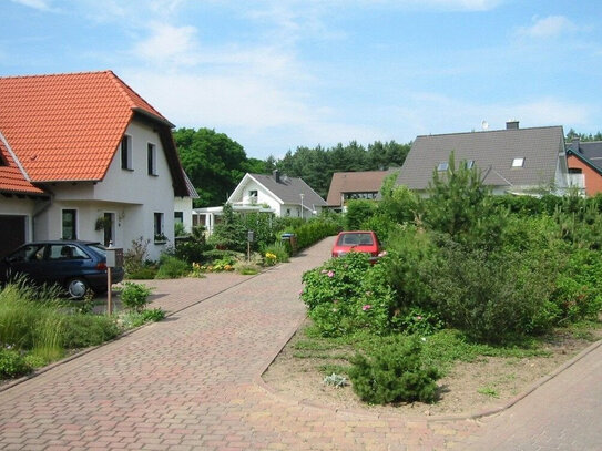 Waldnahes Traumhaus in Lostau, Kieferngrund zu vermieten