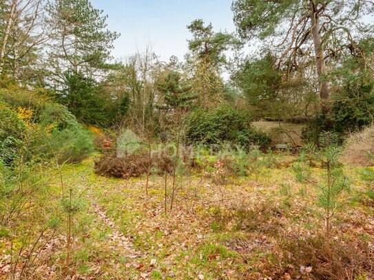 Baugrundstück mit Abrisshaus in Wedemark - Teilung möglich