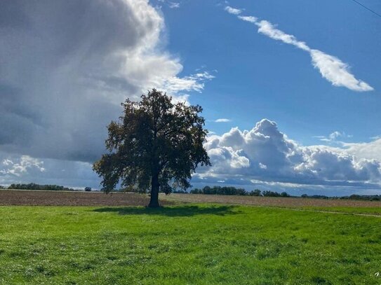 K3 - Nähe Bad Füssing - alter 4 - Seitenhof mit ca. 15 ha bestem ertragreichen Ackerboden!!! PANORAMALAGE