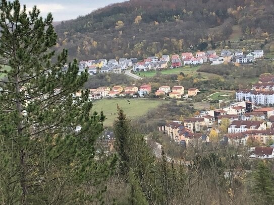 Hochwertiges Reihenendhaus mit Wintergarten und Fuchsturmblick