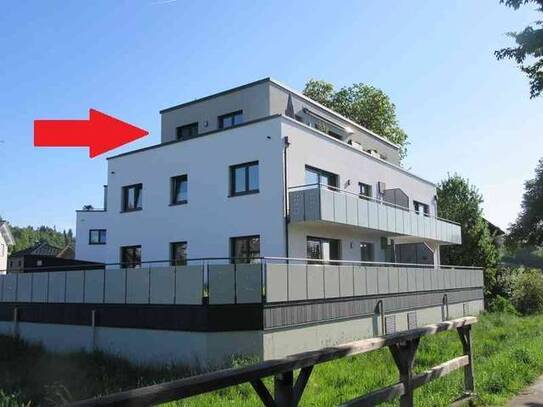 Großzügige 3-Zimmer-Penthouse-Wohnung mit umlaufender Dachterrasse in Lindenberg zur Miete