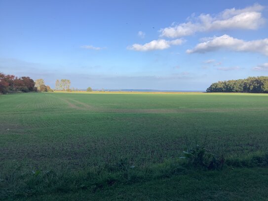 3899 qm großes Baugrundstück für 3 Häuser mit 1000 qm BGF und Blick auf den Strelasund und die Insel Rügen