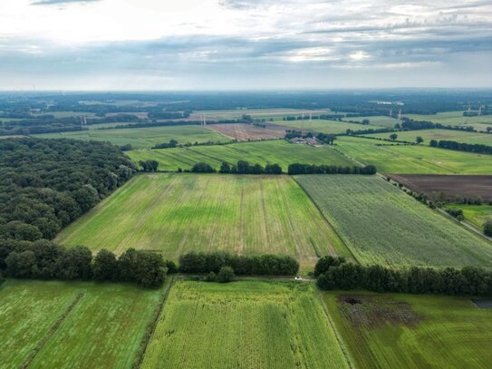 Landwirtschaftliche Fläche in Samern