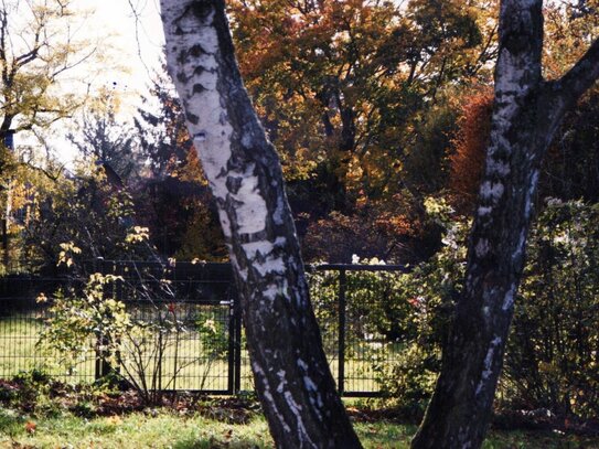 Baugrundstück in Berlin-Zehlendorf