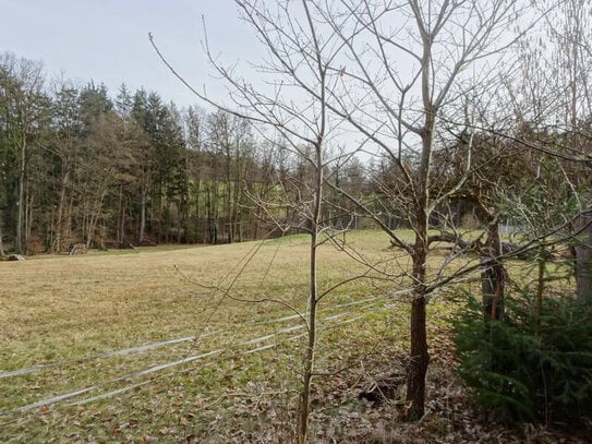 Jetzt: VERKAUFT !!! Großes, letztes Grundstück in Lauf in idyllischer Lage